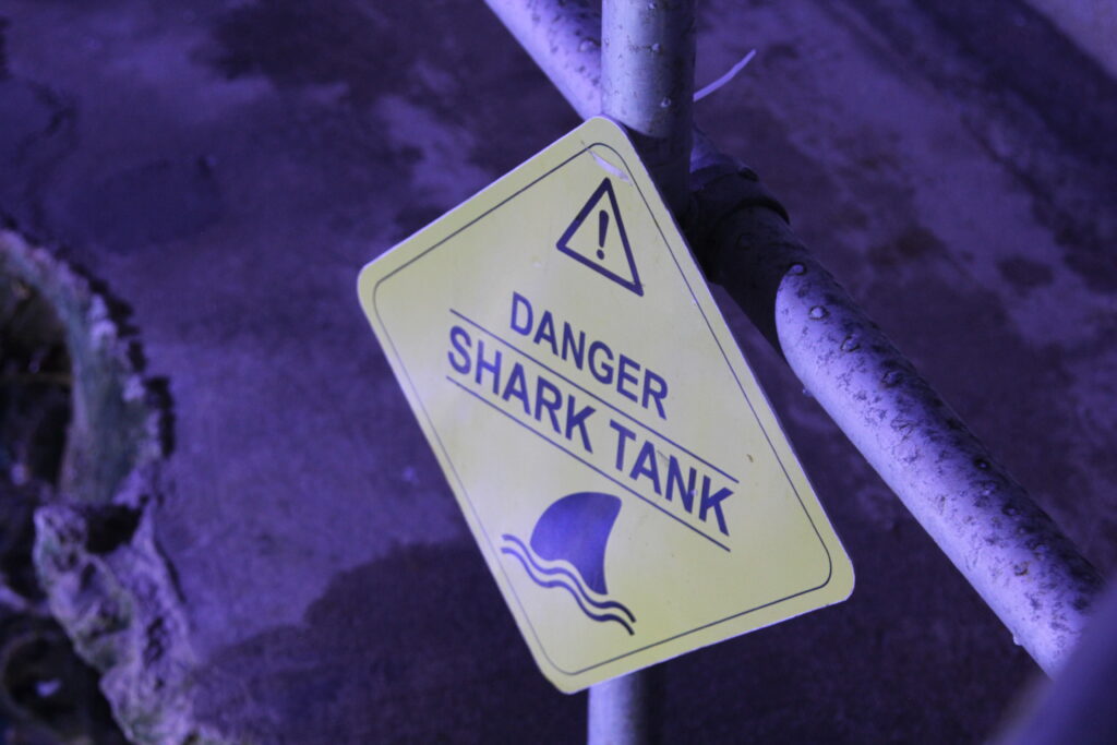 Danger shark tank sign in the aquarium