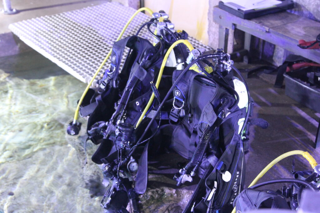 Scuba Diving gear