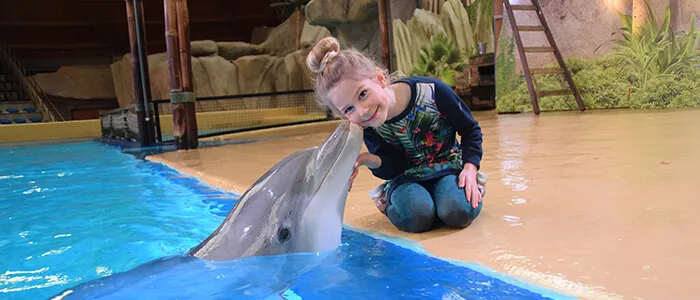 Dichter bij Dolfijnen