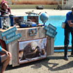 Zeeleeuwenvoorstelling