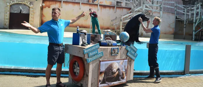 Zeeleeuwenvoorstelling