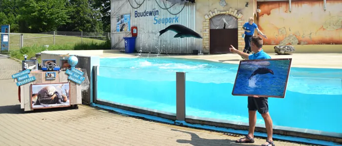 Zeeleeuwenvoorstelling