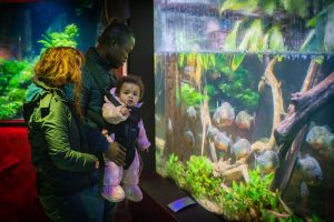 10 Reasons Why Toddlers Will Love Deep Sea World