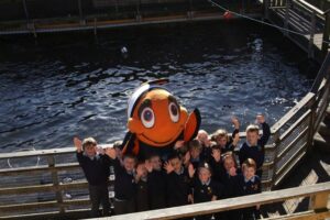 Keeping Fish in the Classroom: 4 Things Your Pupils Need to Know