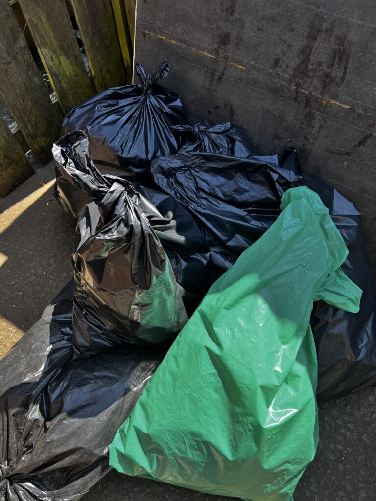 Litter bags from DSW Beach Clean 2023