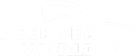 Deep Sea World