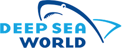 Deep Sea World