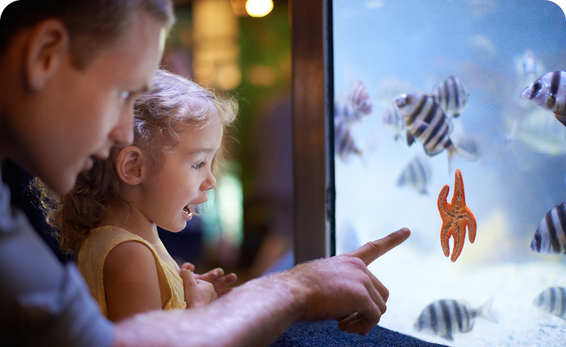 Plastic in the Ocean | Our Ocean and Nurdles