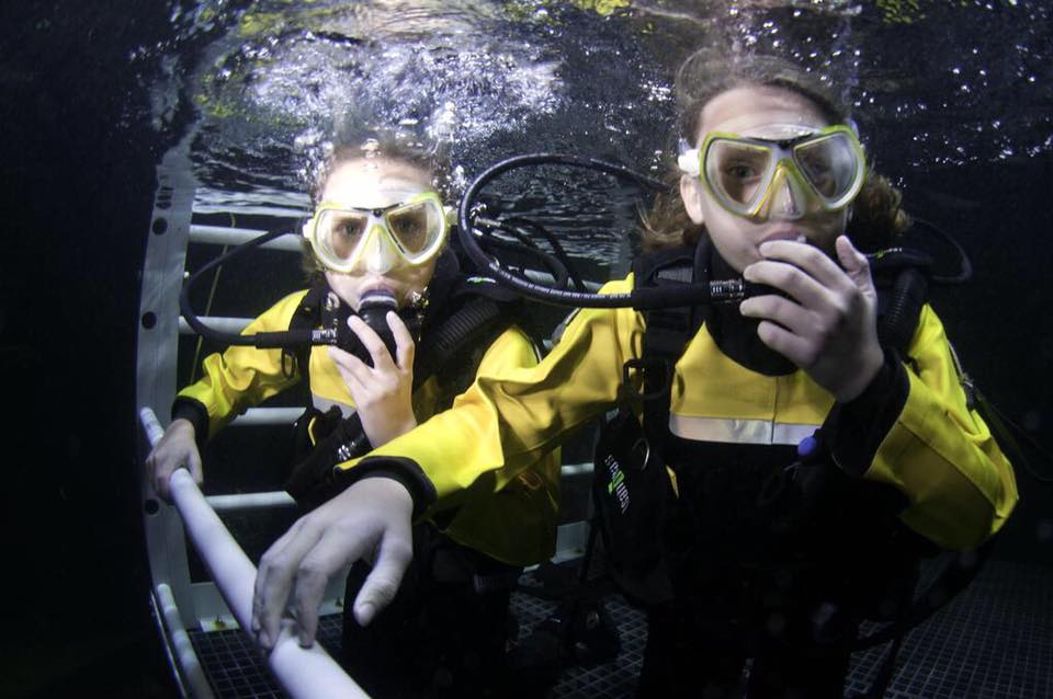 Bring New Life to Gift Vouchers