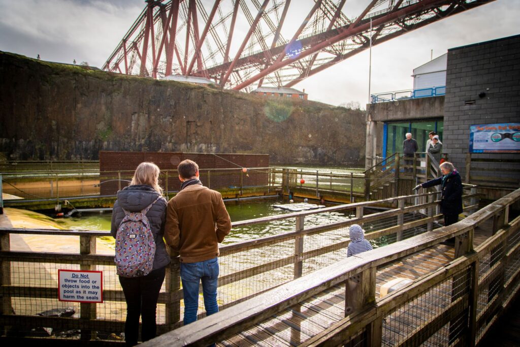 COVID 19 – Helping us all to stay safe