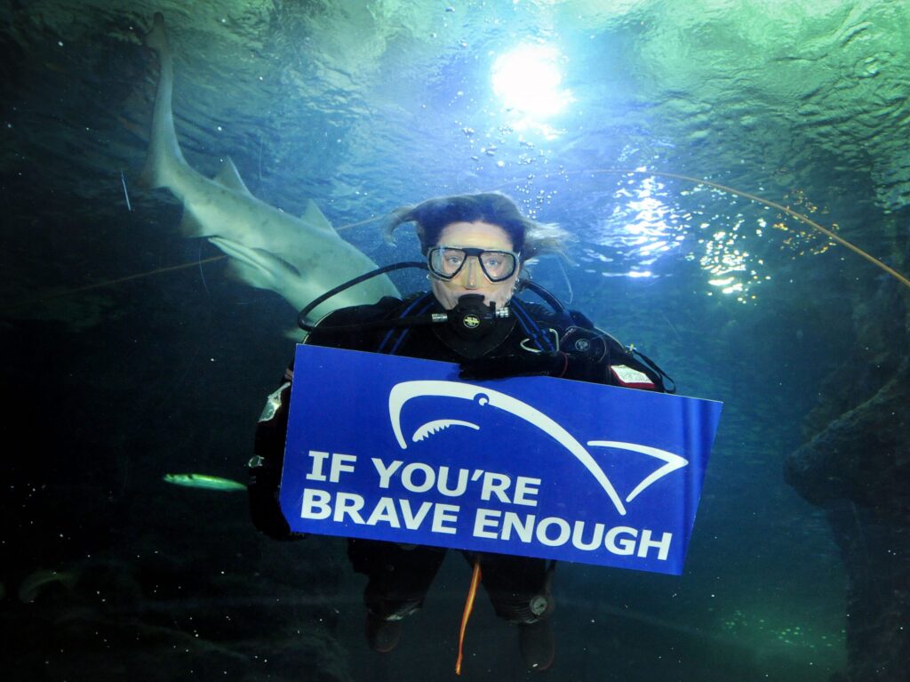 Meet the Megalodon: The Biggest Shark that Ever Lived