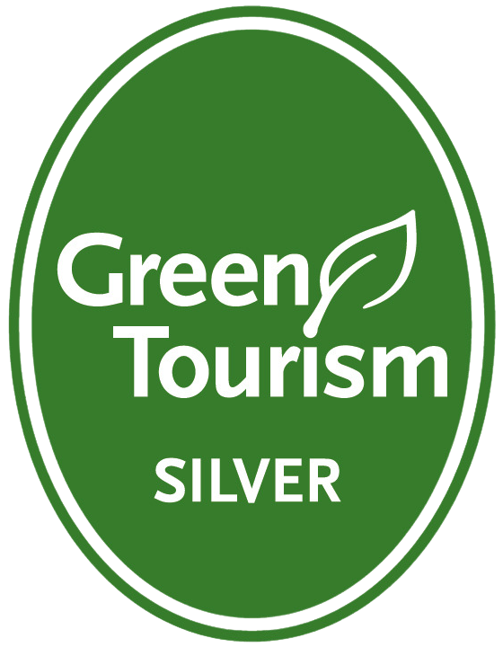 GT-Silver-Award-Logo-Edited