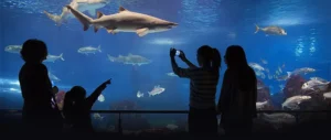 VIAJA A L’AQUÀRIUM DE BARCELONA EN FAMILIA