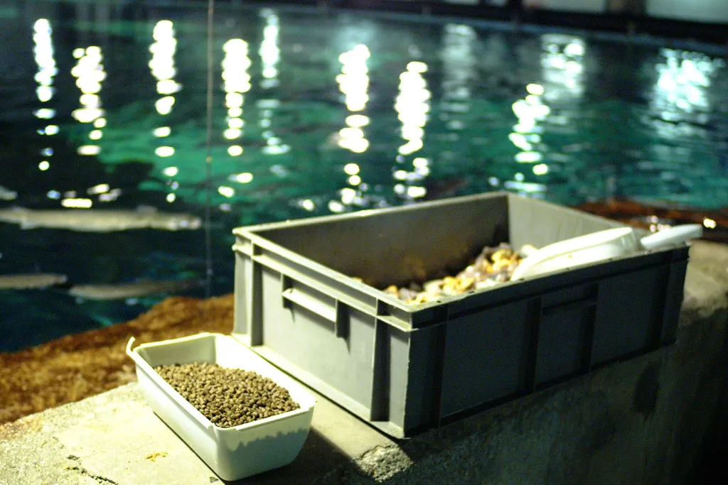 Zona técnica L'Aquàrium de Barcelona