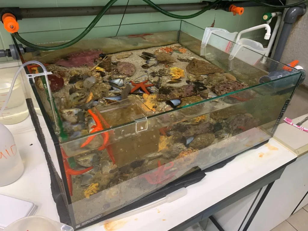 Zona técnica L'Aquàrium de Barcelona