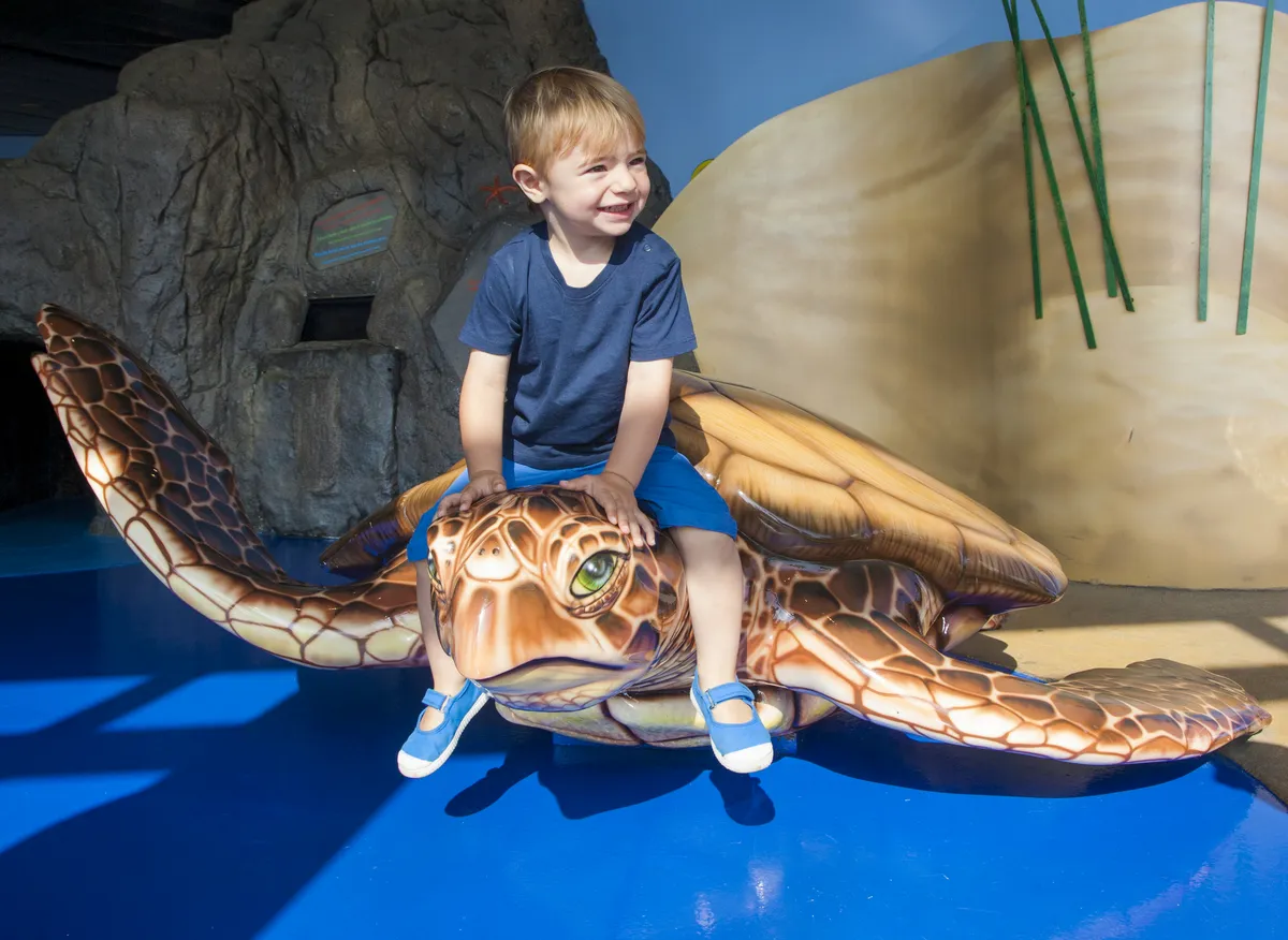 Explora Tortuga L'Aquàrium de Barcelona