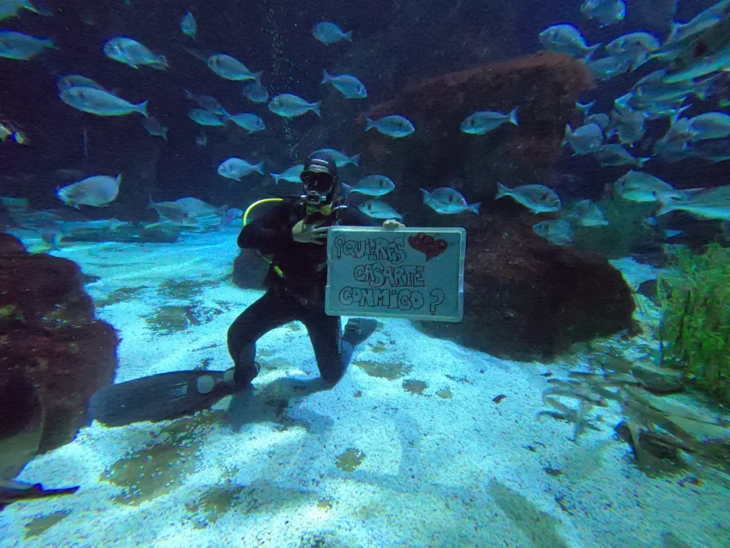 PETICIÓN DE MANO CON TIBURONES
