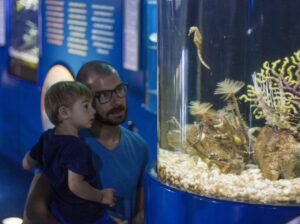 QUE FAIRE AVEC DES ENFANTS À BARCELONE? VISITE L&rsquo;AQUÀRIUM!
