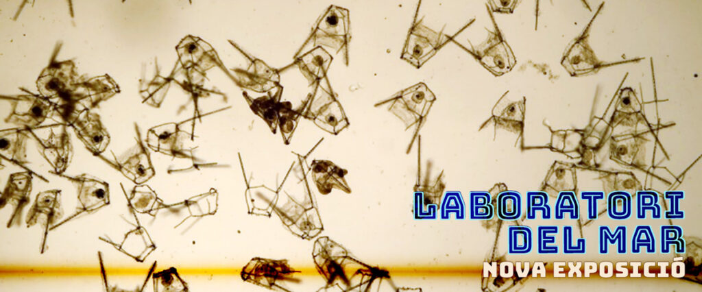 Nova exposició Laboratori del Mar
