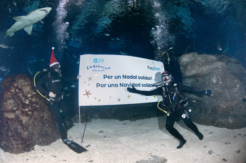 Àgel Llàcer se ha sumergido en el Oceanario de L'Aquàrium de Barcelona en el tradicional Baño solidario, para felicitar la Navidad