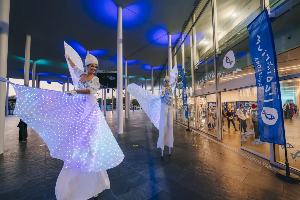 bienvenida magica artistas iluminados evento corporativo