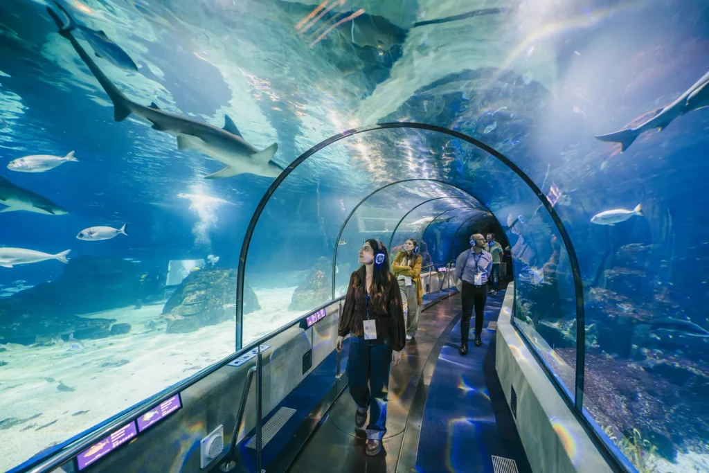 experiencia recorrido tunel submarino evento
