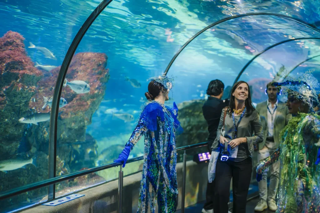 inmersivo exclusivo oceanico artista evento networking discurso