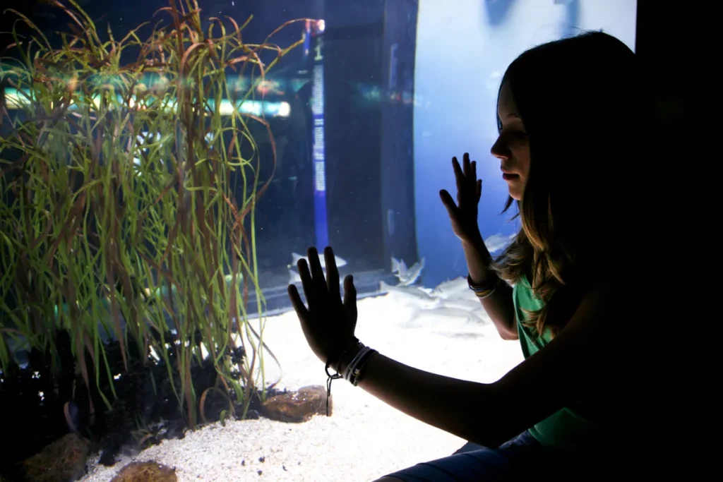 Niña observa un acuario durante una dinámica de aprendizaje que ofrece el programa de la escuela de verano.