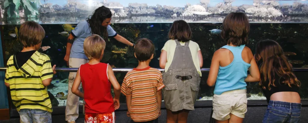 Grupo de niños observan un gran acuario mientras una guía señala distintos animales durante la visita educativa.