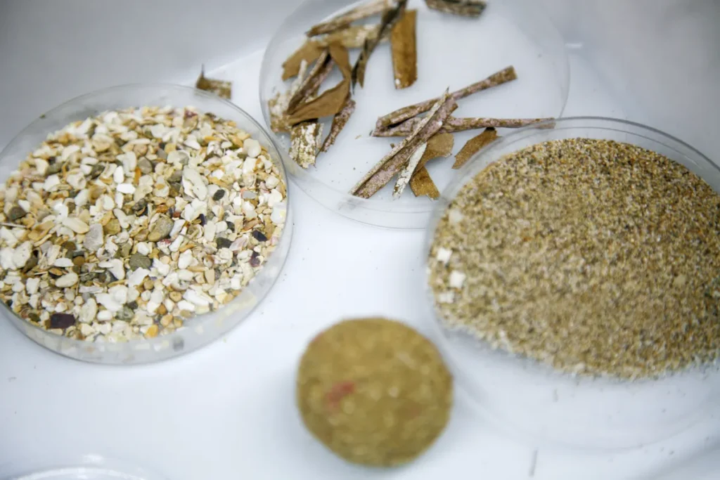 Estudiantes analizan muestras en placas para comprender el funcionamiento de los ecosistemas marinos del Mediterráneo.