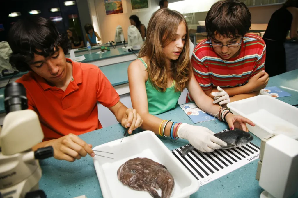 Alumnos analizan muestras marinas en bandejas de laboratorio utilizando herramientas durante una práctica científica.