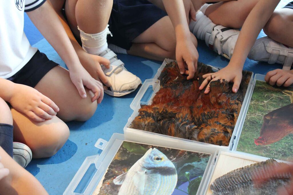Niños exploran materiales sensoriales y visuales durante una propuesta didáctica sobre el entorno marino.