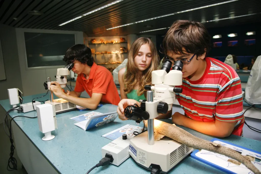 Estudiantes analizan muestras con microscopios durante una investigación sobre la biología de los tiburones.