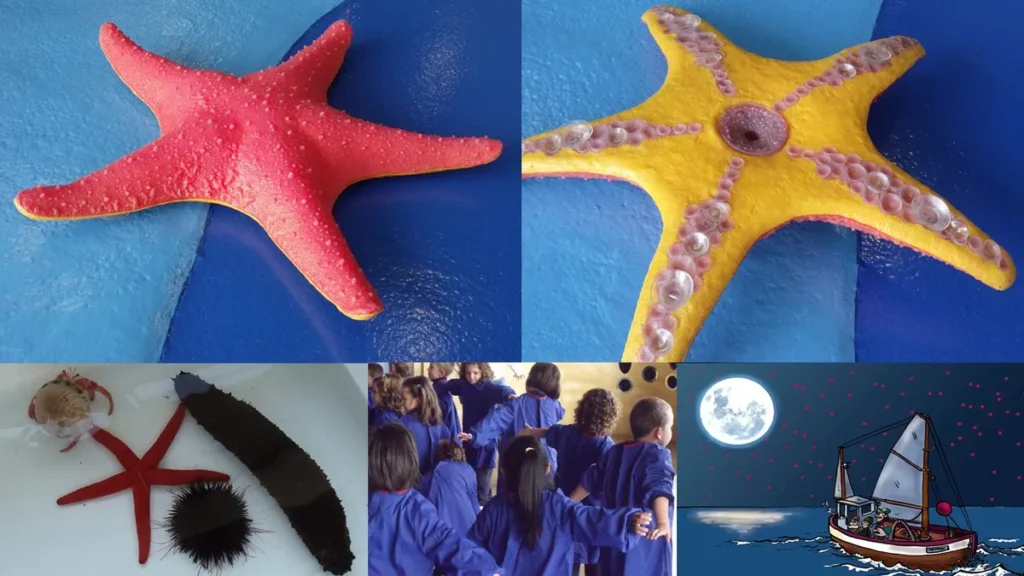 Collage con escenas educativas y especies marinas que muestra la variedad de contenidos del programa educativo.