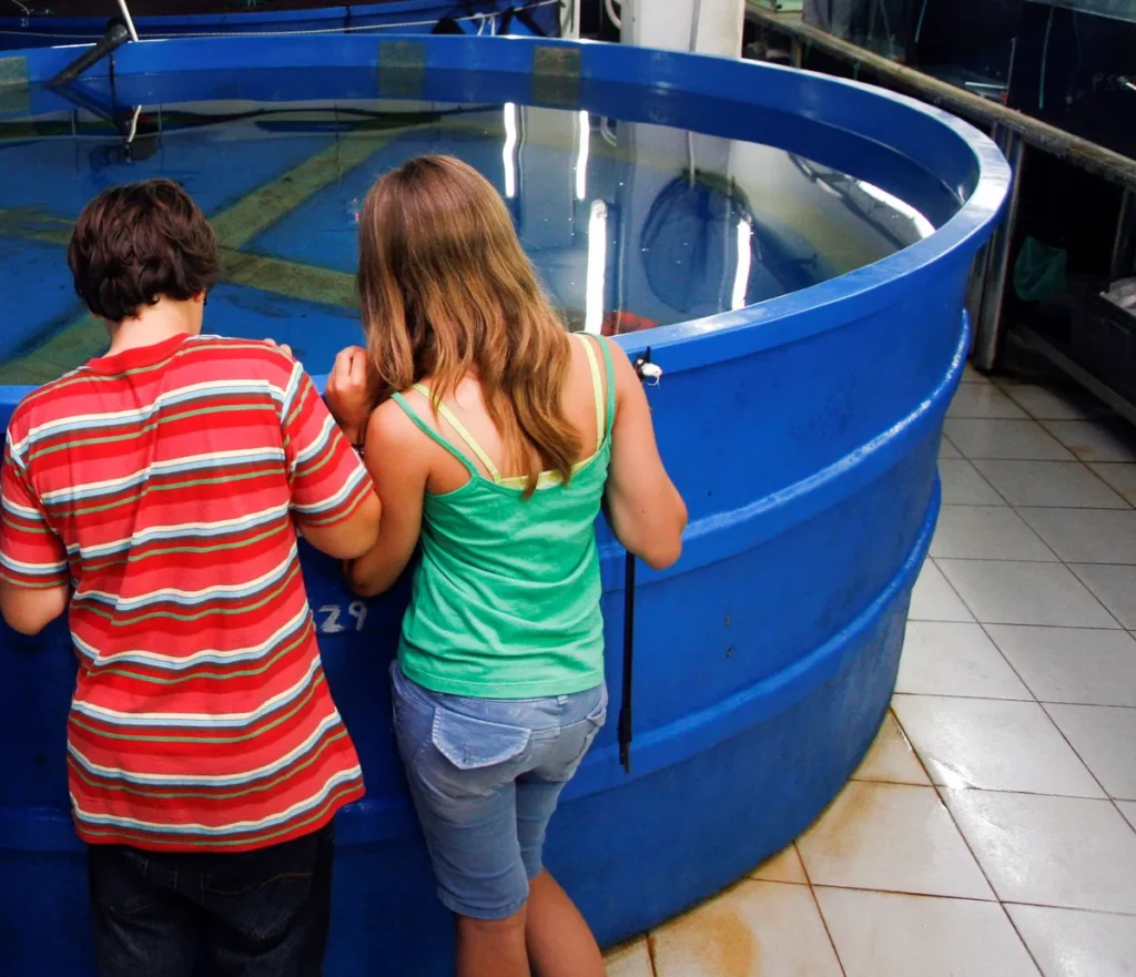 Dos estudiantes observan un tanque de agua en un área técnica del acuario explorando cómo cuidan las especies marinas.