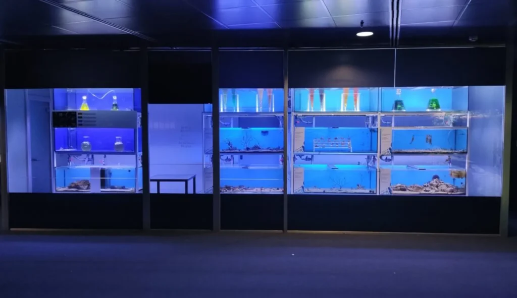 Laboratorio de mar