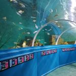 Exhibits