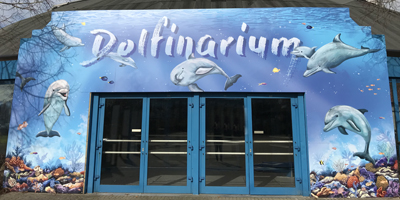 Afbeelding bij How the dolphinarium works