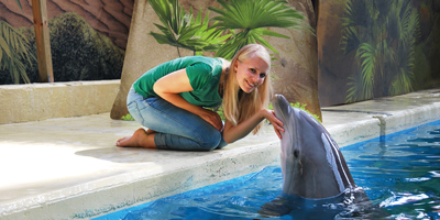 Afbeelding bij Photo with dolphin or sea lion