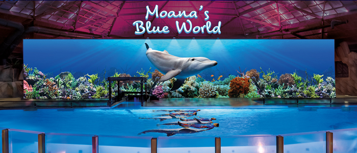 Ontdek de nieuwe dolfijnenshow Moana's Blue World in Boudewijn Seapark Brugge.