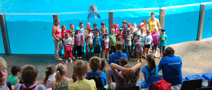 Ga samen met je klas op de foto met een dolfijn! Dit leuk souvenir krijgen jullie na de educatieve sessie in Boudewijn Seapark.