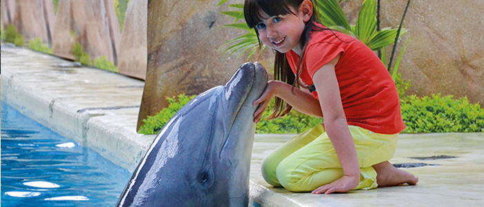 Maak je dromen waar en laat een foto nemen van jou en een dolfijn of een zeeleeuw!