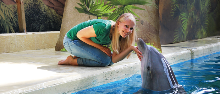 Maak je dromen waar en laat een foto nemen van jou en een dolfijn of een zeeleeuw!