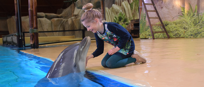 Beleef een fotosessie van jou met onze dolfijnen en maak zo je dromen waar!