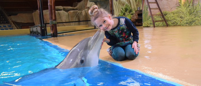 Maak een fotoreeks van jou met onze dolfijnen en maak zo je dromen waar!
