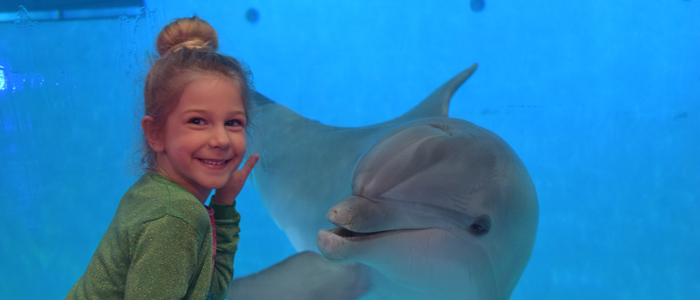Maak een fotoreportage van jou met onze dolfijnen en maak zo je dromen waar!