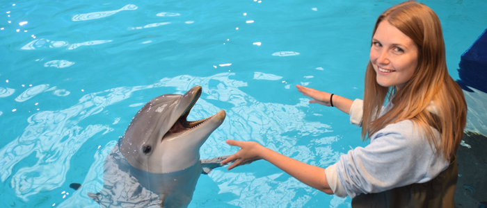 Ontmoet onze dolfijnen van zeer dichtbij! Reserveer nu je unieke ontmoeting. Let op, dit is niet zwemmen met dolfijnen. 
